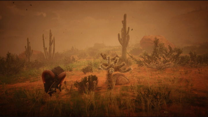 Red Dead Online - Dust Storm