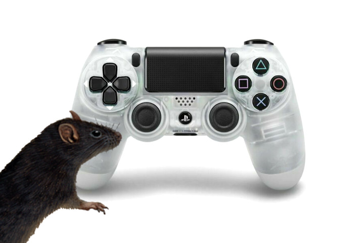 DualShock 4 with a Rat