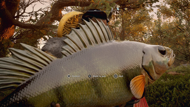 Why Are the Fish so Big in Assassin’s Creed Valhalla?