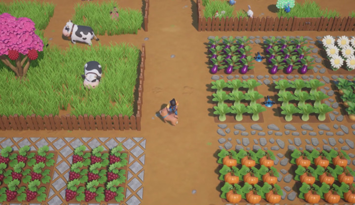 Farm Sim Coral Island Raised More Than $1.6 Million on Kickstarter