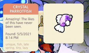 CrystalParrotfish.jpg