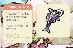 Spring Shiner.jpg