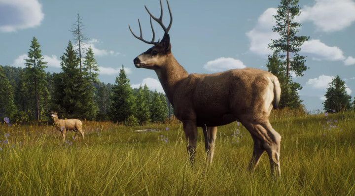 Can Way of the Hunter Fill the Open-Country-Shaped Hole in My Gaming Heart?
