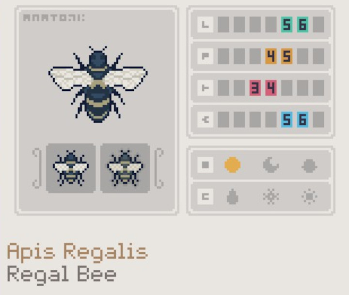 APICO - Regal Bee