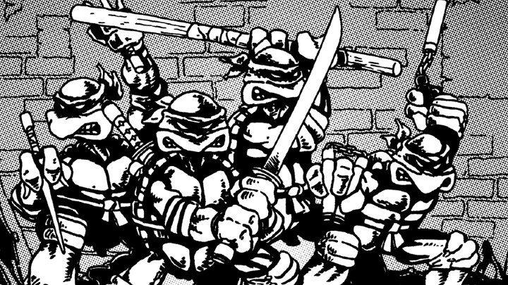 Teenage Mutant Ninja Turtles Comic Book
