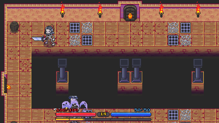 Skull Rogue Roguelite Game