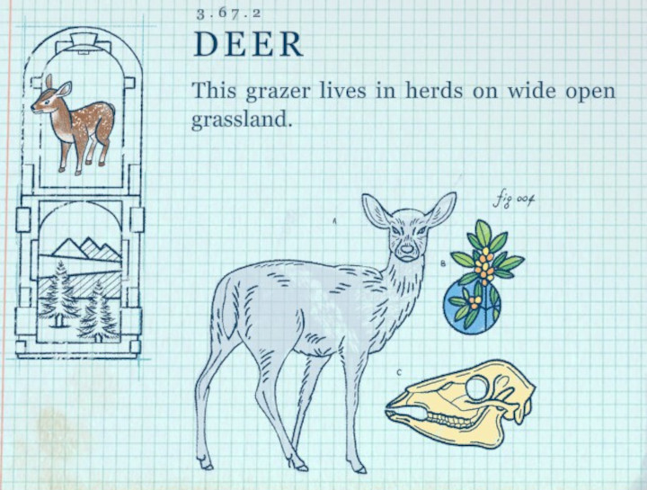 Terra Nil - Deer