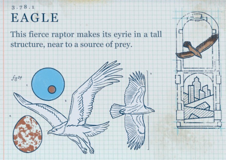 Terra Nil - Eagle
