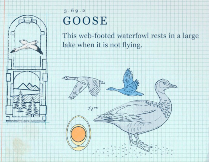 Terra Nil - Goose