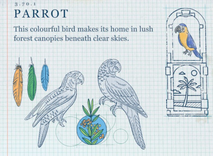 Terra Nil - Parrot