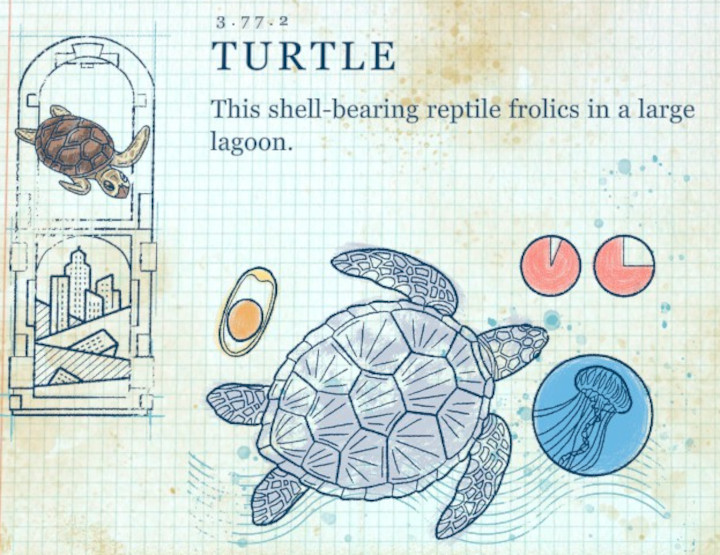 Terra Nil - Turtle