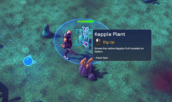 Beyond Contact - Kepple Plant